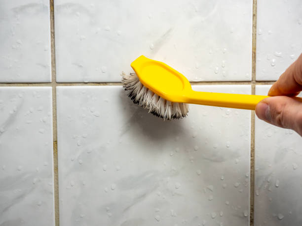 Trusted Marshall, TX Mold Removal Experts