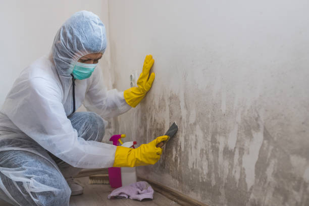 Crawl Space Mold Removal in Marshall, TX