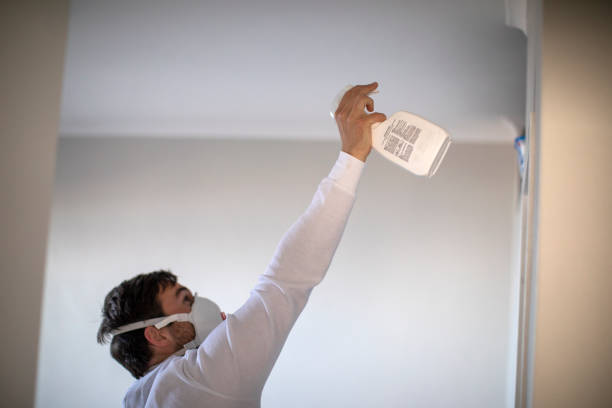 Best Best Mold Removal Companies  in Marshall, TX