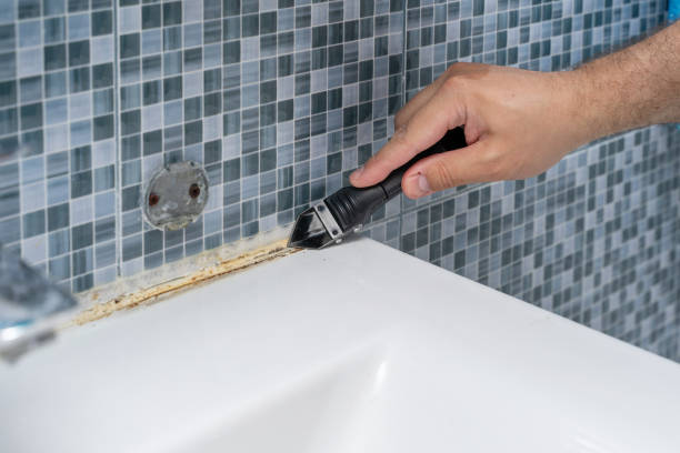 Best Certified Mold Removal  in Marshall, TX