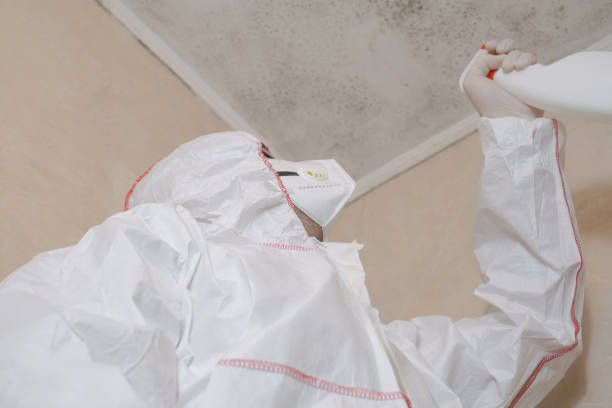 Best Professional Mold Removal  in Marshall, TX